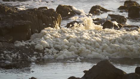 Slow-motion-shot-of-ocean-foam-blowing-off-of-the-rocky-shoreline