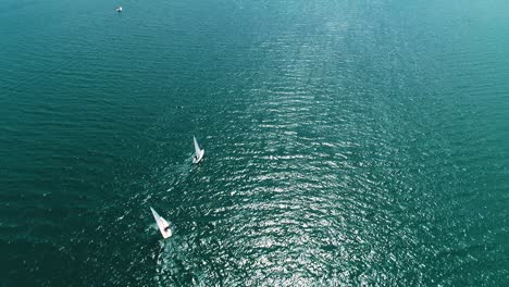 Sunfish-Segelboote-Auf-Spanischen-Gewässern-üben-Das-Wenden-Gegen-Den-Wind,-Curaçao