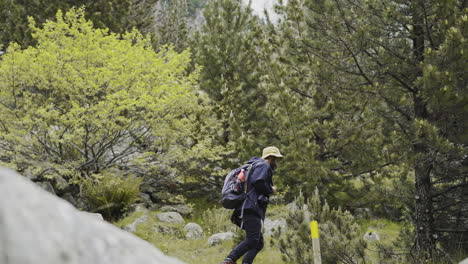 Caminante-Masculino-Solitario-Caminando-En-El-Parque-Nacional-De-Aigüestortes-Ubicado-En-El-Pirineo-Catalán,-España