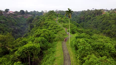 Aerial-view-of-Campuhan-Ridge-with-Tourists-and-local-People-walking-the-hilltop-footpath-amid-lush-overgrown-tropical-jungle-scenery