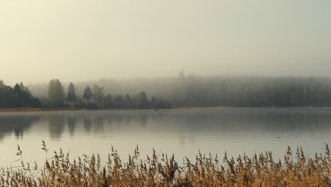 Neblige-Flusslandschaft,-Nebel-Auf-Der-Wasseroberfläche-Im-Herbst,-Statische-Aufnahme