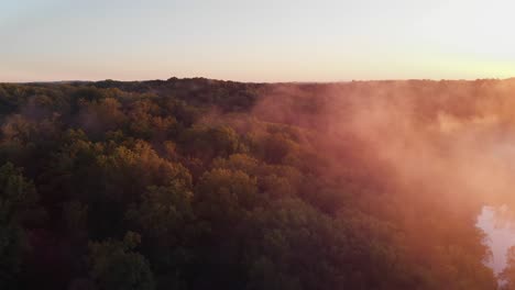Luftbild,-Nebliger-Morgen,-See,-Filmische-Bäume,-Wildnis,-Wald,-Sonnenaufgang,-Schönheit,-Natur
