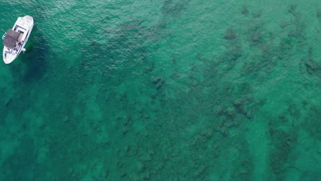 Luftaufnahme-Von-Oben-Nach-Unten-über-Booten-Im-Seichten-Wasser-Des-Lake-Tahoe,-In-Kalifornien,-USA