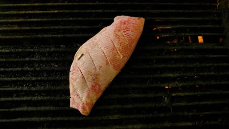 Top-down-handheld-static-view-of-red-snapper-fish-fillet-grilling-over-gas-fire