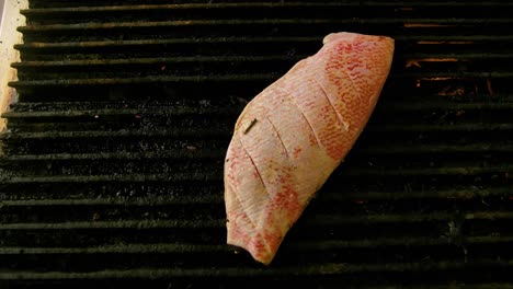 Top-down-pan-across-freshly-scored-red-snapper-fish-fillet-grilling-over-gas-fire