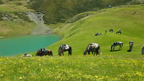 Herd-of-Horses,-Shepherd-and-Hikers-by-Oreti-Lake-in-Idyllic-Landscape-of-Tusheti,-Georgia