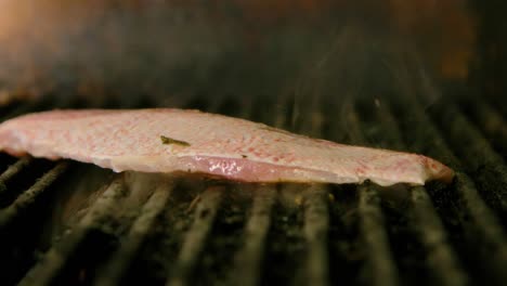 Filete-De-Pargo-Recién-Capturado-Carne-A-La-Parrilla-Con-La-Piel-Blanca-Hacia-Arriba