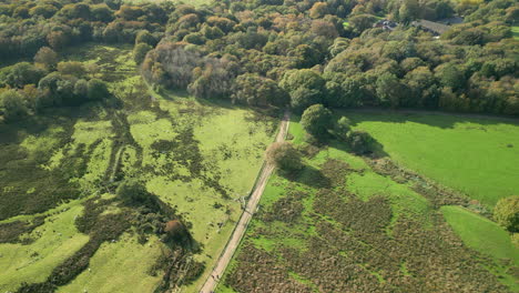 Track-cutting-through-green-fields-leading-into-dense-woodland,-from-400ft