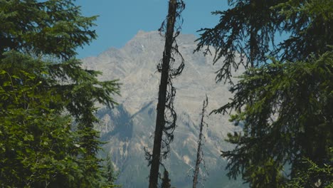 Un-Impresionante-Paisaje-De-Las-Montañas-Y-El-Bosque-Del-Parque-Nacional-Yoho,-Caminando-En-Canadá-En-Un-Día-Azul-Claro-De-Verano