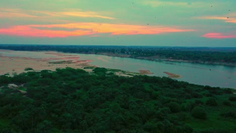Tapetenartige-Landschaft-Des-Amazonaslandes-Bei-Sonnenuntergang-Mit-Darüber-Fliegenden-Vögeln