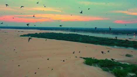 Atemberaubende-Luftaufnahmen-Von-Zugvögeln-Im-Flug-Bei-Sonnenuntergang