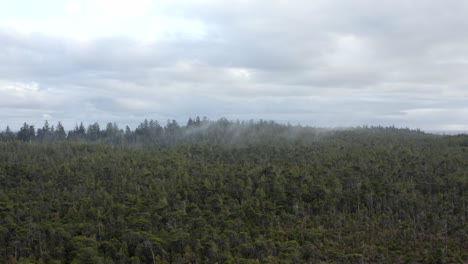 Algunas-Nubes-Tenues-Sobre-El-Bosque-De-Coníferas-Cerca-De-La-Playa-De-Tofino-En-La-Isla-De-Vancouver,-BC-Canadá