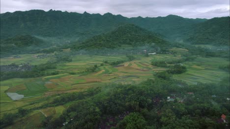 Bali-Jungle-Rainforest-with-Rice-Fields,-Aerial-Drone-Panorama-Landscape