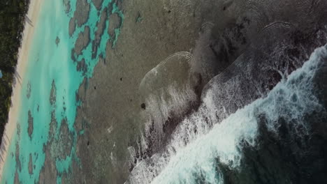 Die-Nach-Oben-Geneigte-Luftaufnahme-Gibt-Den-Blick-Auf-Den-Atemberaubenden-Strand-Und-Das-Wasser-Am-Yejele-Strand-Auf-Der-Insel-Maré-Frei