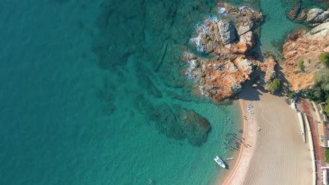 Aerial-view,-shots,-overhead-view-of-Fenals-beach,-in-Lloret-De-Mar,-transparent-waters,-buses,-entering-the-sea