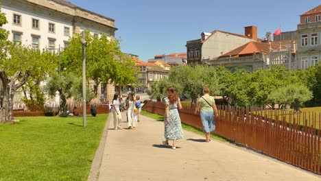 Aufnahme-Von-Einheimischen,-Die-An-Einem-Sonnigen-Tag-Einen-Weg-Mit-Olivenbäumen-Auf-Beiden-Seiten-In-Porto,-Portugal,-Entlanggehen