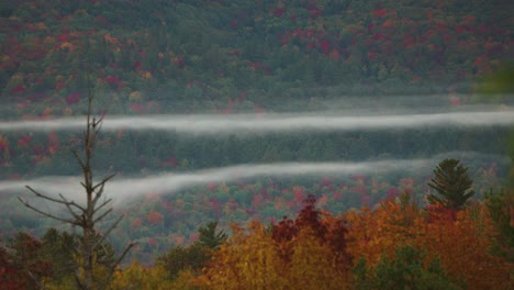 Zeitraffer-Von-Nebelwolken-In-Einem-Tal-Voller-Bäume-Im-Herbst