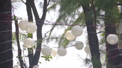 Paper-Lamp-Lantern-Shade-for-Decoration--on-tree