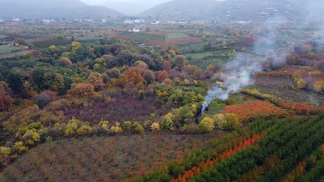 Aerial-view-of-burning-wildfire-in-colorful-nature-landscape-of-Greece