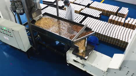 Ein-Arbeiter-In-Einer-Erdnussbutterfabrik-überprüft-Erdnüsse,-Die-Auf-Einem-Förderband-Laufen,-Und-Entfernt-Fehlerhafte-Kerne