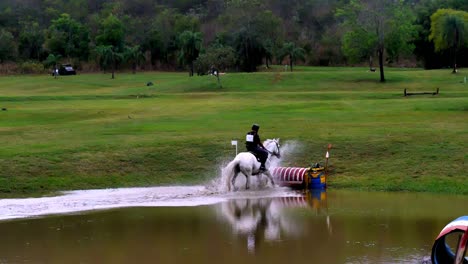 Jinete-Y-Caballo-Trabajando-En-Armonía-Para-Superar-El-Obstáculo-Del-Agua.