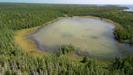 Aerial-orbit-reveal-of-small-lake-next-to-Lake-Huron-wilderness,-Michigan