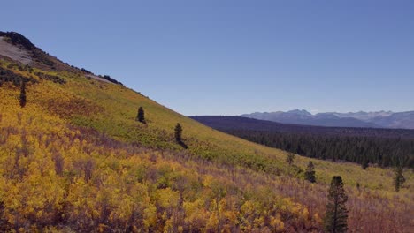 Herbstfarben-Am-Sage-Hen-Summit-Im-Mono-County,-Kalifornien-–-Luftaufnahme-Einer-Drohne,-Die-Sich-über-Den-Herbstblättern-In-Der-östlichen-Sierra-Erhebt