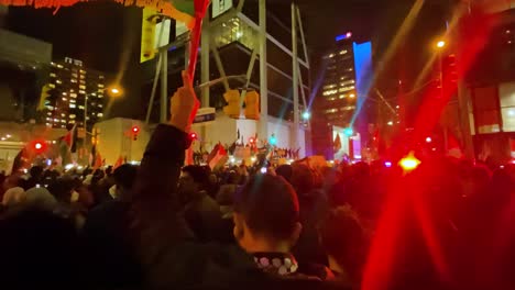 Manifestante-Ondeando-Bandera-Palestina,-Protesta-En-Toronto