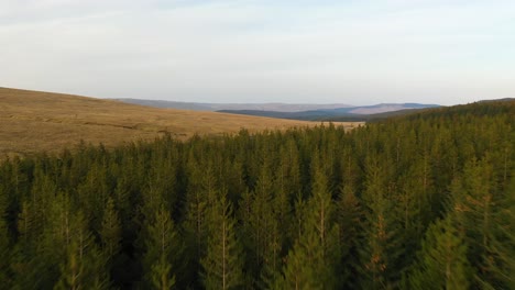 Luftdrohnenaufnahme-Eines-Waldes-In-Grüner-Natur-Und-Bergen,-Schottland