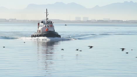 Tug-working-in-Table-Bay-harbour