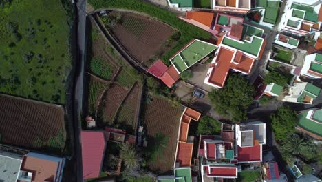 Aerial-drone-video-looking-down-onto-colourful-houses-and-agricultural-land-in-Benijo,-Tenerife