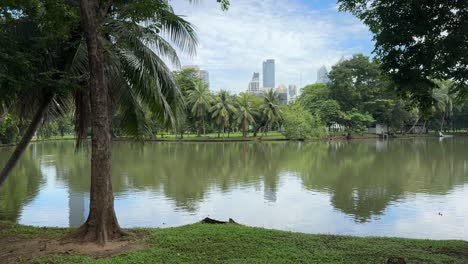 Panning-shot-view-of-the-tranquillity,-tropical-scene-with-palm-trees-and-beautiful-lake-in-Lumpini-Park,-Bangkok,-Thailand