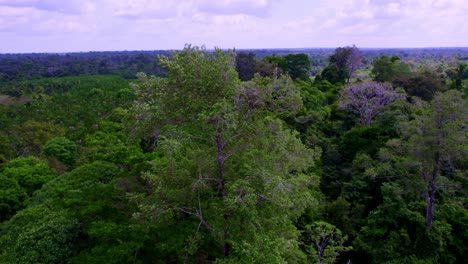 Eine-Luftaufnahme-Des-üppigen-Amazonas-Regenwaldes-In-Brasilien,-Der-In-Südamerika-Liegt-Und-Nach-Dem-Mächtigen-Amazonas-Fluss-Benannt-Ist,-Der-Durch-Ihn-Fließt