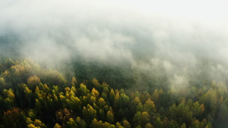 Wolken-Ziehen-Im-Herbst-über-Einen-Sonnenbeschienenen-Wald