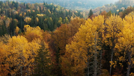 Ein-Farbenfrohes-Und-Reiches-Tal-Im-Herbst