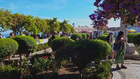Die-Stadt-Lissabon-Verfügt-über-Einige-Wunderschöne-Gärten,-Die-Touristen-Und-Besucher-Besuchen-Können