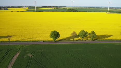 Panoramic-aerial-shot-capturing-vibrant-yellow-fields-contrasted-with-lush-green-farmland-and-wind-turbines