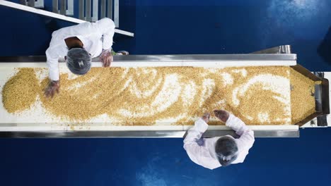 SCENE-FROM-THE-SIDE-A-batch-of-peanuts-on-a-conveyor-belt-in-a-peanut-butter-factory-is-being-checked-by-women-wearing-safety-gloves