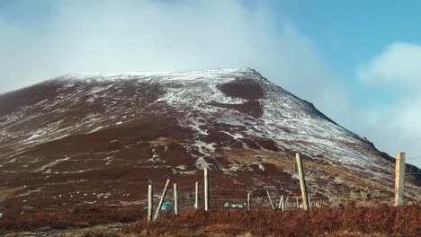 Comeragh-Mountains-Waterford-Irland-Schafe-An-Einem-Zaun-Unter-Den-Schneebedeckten-Hängen-Im-Winter