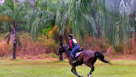 Wunderschöne-Zeitlupenaufnahme-Eines-Reiters-Mit-Seinem-Pferd-Im-Schnellen-Galopp