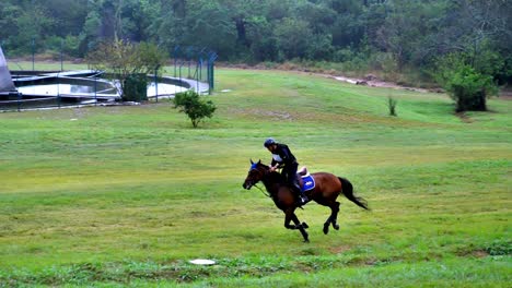 Ein-Pferd-Und-Sein-Reiter-Galoppieren-Während-Eines-Wettbewerbs-Durch-Ein-Feld