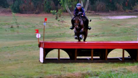 Un-Jinete-Con-Su-Semental-Marrón-Puede-Superar-Fácilmente-Un-Obstáculo-Alto-En-La-Carrera-De-Fondo