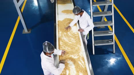 Scene-from-the-front,-peanuts-are-being-checked-by-women-wearing-safety-gloves-on-a-conveyor-belt-in-a-peanut-butter-factory