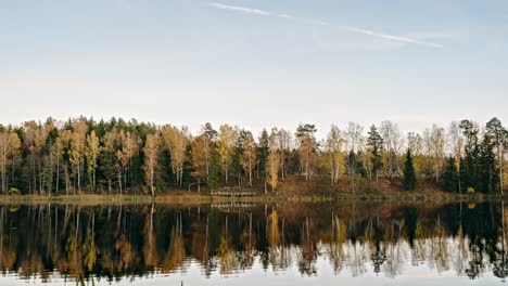 Blick-Auf-Den-Waldrand-über-Einem-See-Im-Herbst