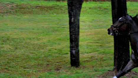 Un-Caballo-Y-Un-Jinete-Saltando-Por-Encima-De-Un-Obstáculo-Durante-Una-Carrera-A-Campo-Traviesa.