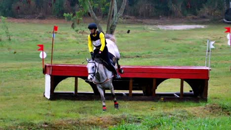 Un-Jinete-Con-Su-Caballo-Gris-Blanco-Supera-Fácilmente-Un-Obstáculo-Alto-Bajo-La-Intensa-Lluvia