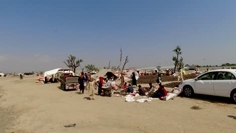 Pinienkernmarkt-In-Afghanistan