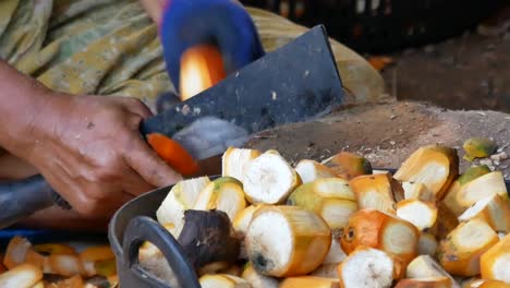 Asian-People-Making-Sun-Dried-Betel-Palm