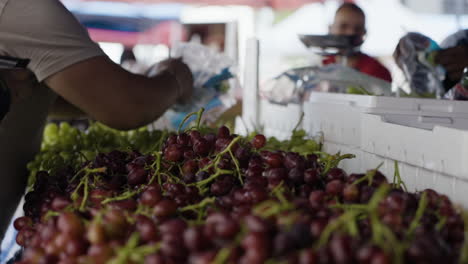 Toma-En-Cámara-Lenta-De-Consumidores-Comprando-Fruta-Fresca-En-Un-Mercado-De-Agricultores-En-El-Centro-De-Boston.