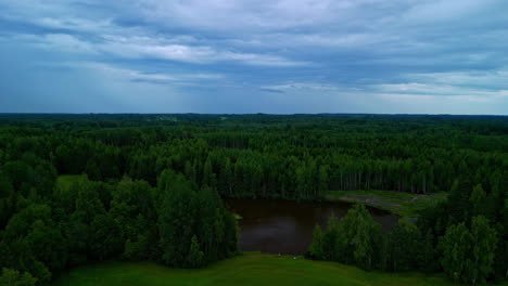 Cinematic-aerial-footage-of-a-forest-in-bright-daylight,-Drone